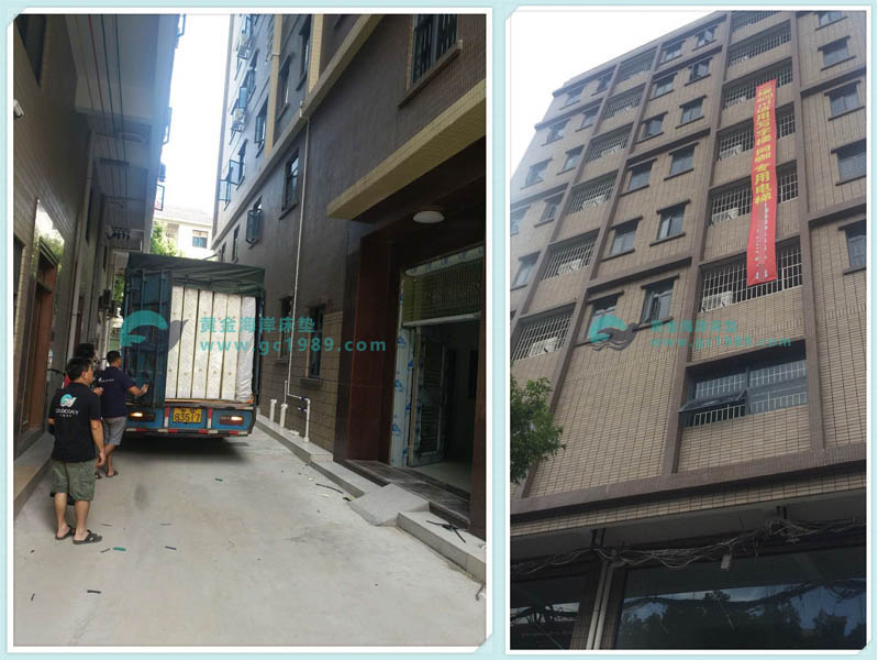 出租房床垫---东莞凤岗出租房